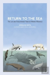 Return To The Sea