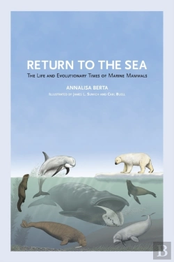 Bertrand.pt - Return To The Sea
