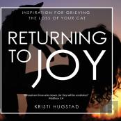 Returning To Joy