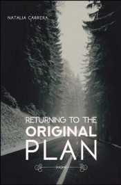 Returning To The Original Plan