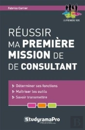 Reussir Ma Premiere Mission De Consultant