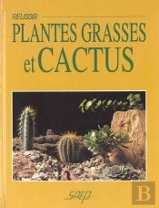 Reussir Plantes Grasses Et Cactus