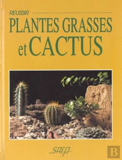 Bertrand.pt - Reussir Plantes Grasses Et Cactus