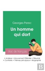 Reussir Son Bac De Francais 2023 Analyse Du Roman Un Homme Qui Dort De Georges P