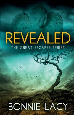 Bertrand.pt - Revealed