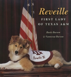 Bertrand.pt - Reveille