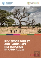 Review Of Forest And Landscape Restoration In Africa 2021