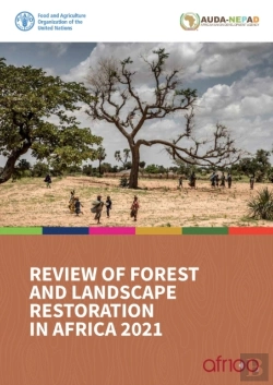 Bertrand.pt - Review Of Forest And Landscape Restoration In Africa 2021