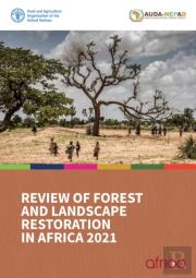 Review Of Forest And Landscape Restoration In Africa 2021