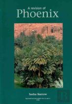 Revision Of Phoenix, A