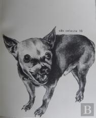Revista Cão Celeste N.º 10