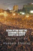 Revolution And The Economic Human Rights In Egypt