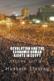 Revolution And The Economic Human Rights In Egypt