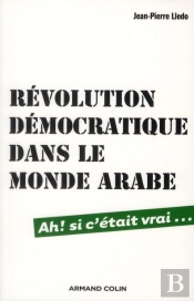 Revolution Democratique Dans Le Monde Arabe