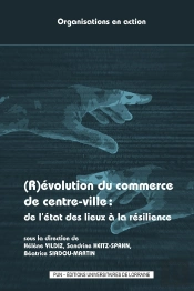 (R)Évolution Du Commerce De Centre-Ville : De L'État Des Lieux À La Résilience