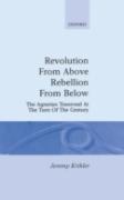 Revolution From Above, Rebellion From Below