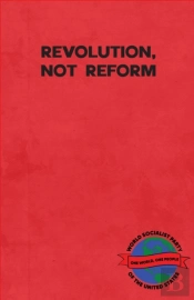 Revolution, Not Reform
