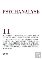 Revue Psychanalyse T.11; Phallus Et Fonction Phallique (Suite En Fin)