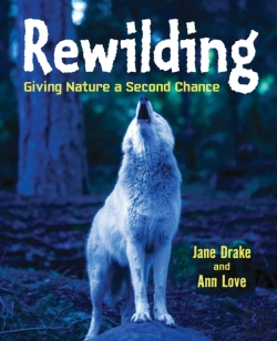 Bertrand.pt - Rewilding