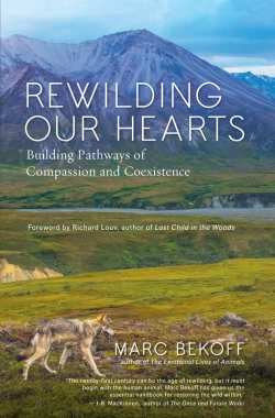 Bertrand.pt - Rewilding Our Hearts