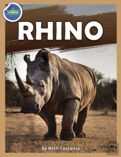 Bertrand.pt - Rhino Workbook Ages 2-4