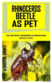 Rhinoceros Beetle As Pet