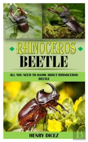 Rhinoceros Beetle