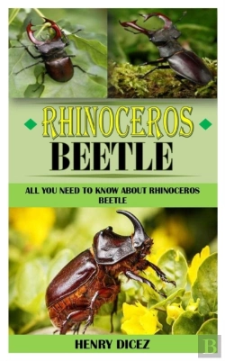 Bertrand.pt - Rhinoceros Beetle