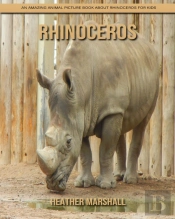 Rhinoceros