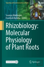 Rhizobiology: Molecular Physiology Of Plant Roots