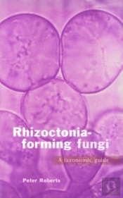 Rhizoctonia-Forming Fungi