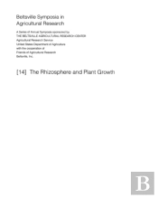 Rhizosphere And Plant Growth