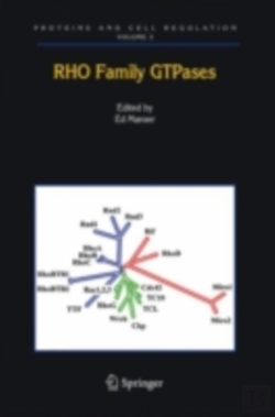 Bertrand.pt - Rho Family Gtpases