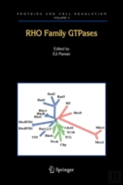 Bertrand.pt - Rho Family Gtpases