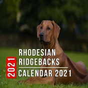 Rhodesian Ridgebacks Calendar 2021