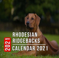 Bertrand.pt - Rhodesian Ridgebacks Calendar 2021