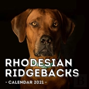 Rhodesian Ridgebacks Calendar 2021