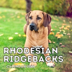 Bertrand.pt - Rhodesian Ridgebacks Calendar 2021