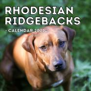 Rhodesian Ridgebacks Calendar 2021