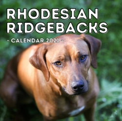 Bertrand.pt - Rhodesian Ridgebacks Calendar 2021
