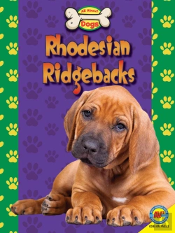 Bertrand.pt - Rhodesian Ridgebacks