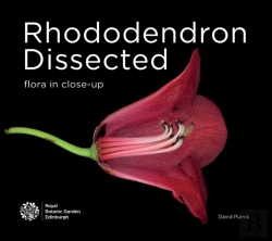 Bertrand.pt - Rhododendron Dissected