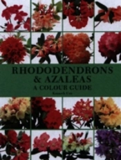 Rhododendrons And Azaleas - A Colour Guide