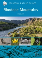 Rhodope Mountains