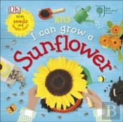 Rhs I Can Grow A Sunflower