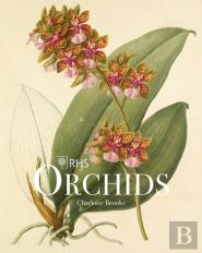 Rhs Orchids