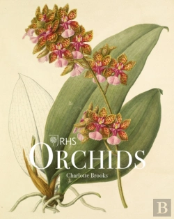 Bertrand.pt - Rhs Orchids
