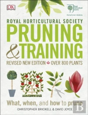 Rhs Pruning And Training