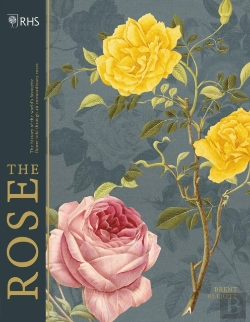 Bertrand.pt - Rhs The Rose