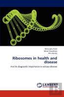 Ribosomes In Health And Disease